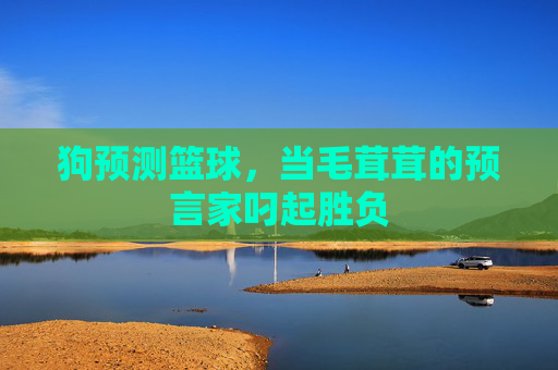 狗预测篮球,当毛茸茸的预言家叼起胜负