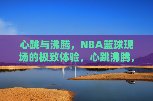 心跳与沸腾,NBA篮球现场的极致体验,心跳沸腾,NBA现场极致体验