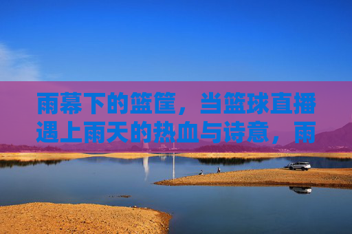 雨幕下的篮筐,当篮球直播遇上雨天的热血与诗意,雨幕篮筐,直播间的热血诗行