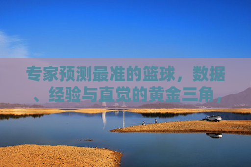 专家预测最准的篮球,数据、经验与直觉的黄金三角,篮球专家预测,数据、经验与直觉的黄金三角