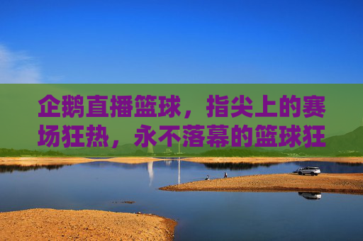企鹅直播篮球,指尖上的赛场狂热,永不落幕的篮球狂欢,企鹅直播篮球,指尖狂热,永不落幕的篮球狂欢
