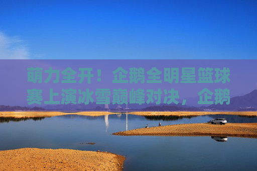 萌力全开!企鹅全明星篮球赛上演冰雪巅峰对决,企鹅全明星冰雪篮球赛萌力巅峰对决