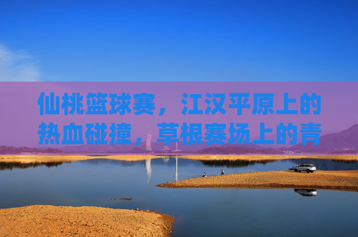 仙桃篮球赛，江汉平原上的热血碰撞，草根赛场上的青春绽放，江汉平原仙桃篮球赛，热血碰撞中绽放青春