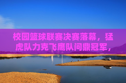 校园篮球联赛决赛落幕，猛虎队力克飞鹰队问鼎冠军，校园篮球联赛决赛落幕 猛虎队力克飞鹰队问鼎冠军