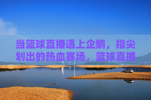 当篮球直播遇上企鹅,指尖划出的热血赛场,篮球直播遇上企鹅,指尖划出的热血赛场