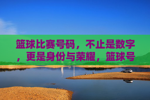 篮球比赛号码，不止是数字，更是身份与荣耀，篮球号码，数字背后的身份与荣光