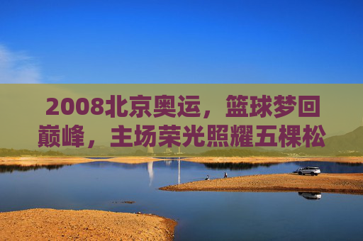 2008北京奥运,篮球梦回巅峰,主场荣光照耀五棵松,2008北京奥运,篮球巅峰荣光照耀五棵松