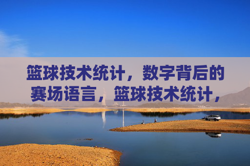 篮球技术统计,数字背后的赛场语言,篮球技术统计,数字背后的赛场语言