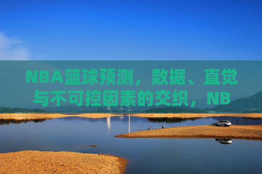 NBA篮球预测，数据、直觉与不可控因素的交织，NBA篮球预测，数据、直觉与不可控因素的交织