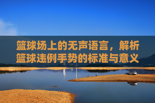 篮球场上的无声语言，解析篮球违例手势的标准与意义，篮球违例手势，无声语言的标准与意义