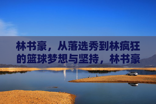 林书豪，从落选秀到林疯狂的篮球梦想与坚持，林书豪，从落选秀到林疯狂的篮球梦想与坚持