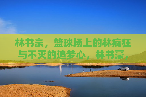 林书豪，篮球场上的林疯狂与不灭的追梦心，林书豪，篮球场上的林疯狂与不灭追梦心
