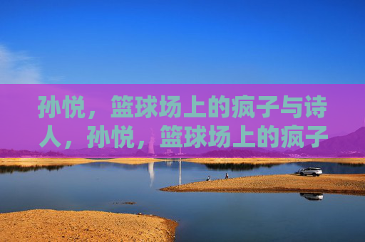 孙悦，篮球场上的疯子与诗人，孙悦，篮球场上的疯子与诗人
