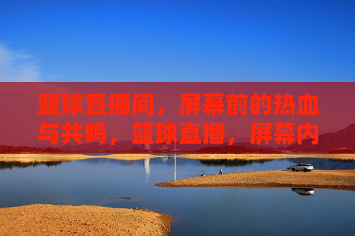 篮球直播间，屏幕前的热血与共鸣，篮球直播，屏幕内外的热血共鸣