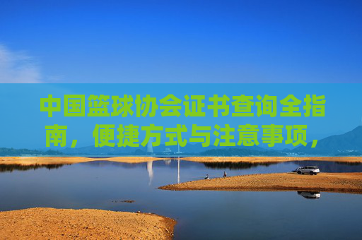 中国篮球协会证书查询全指南，便捷方式与注意事项，中国篮球协会证书查询全指南，便捷方式与注意事项