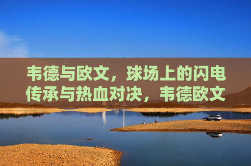 韦德与欧文,球场上的闪电传承与热血对决,韦德欧文,闪电传承下的热血对决
