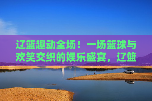 辽篮趣动全场!一场篮球与欢笑交织的娱乐盛宴,辽篮趣动全场,篮球与欢笑的娱乐盛宴