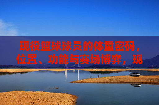 现役篮球球员的体重密码,位置、功能与赛场博弈,现役篮球球员的体重密码,位置、功能与赛场博弈
