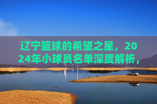 辽宁篮球的希望之星,2024年小球员名单深度解析,辽宁篮球2024年希望之星小球员名单深度解析
