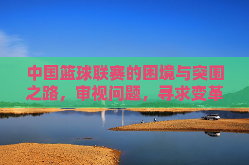 中国篮球联赛的困境与突围之路，审视问题，寻求变革，困境与突围，中国篮球联赛的审视与变革