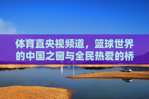 体育直央视频道,篮球世界的中国之窗与全民热爱的桥梁