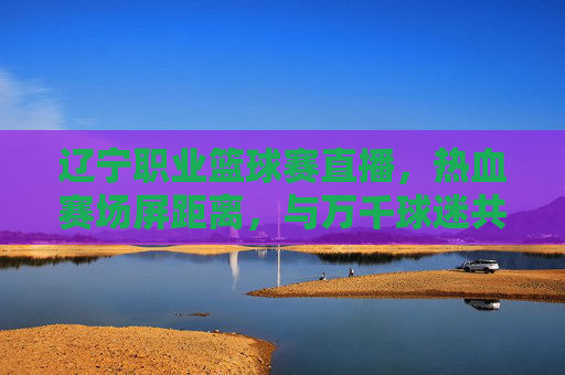 辽宁职业篮球赛直播，热血赛场屏距离，与万千球迷共燃篮球梦，辽宁职业篮球赛直播，热血赛场屏距离，共燃万千球迷篮球梦