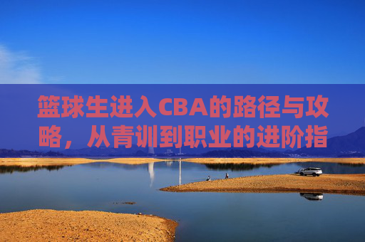 篮球生进入CBA的路径与攻略,从青训到职业的进阶指南,篮球生进入CBA,从青训到职业的路径与攻略
