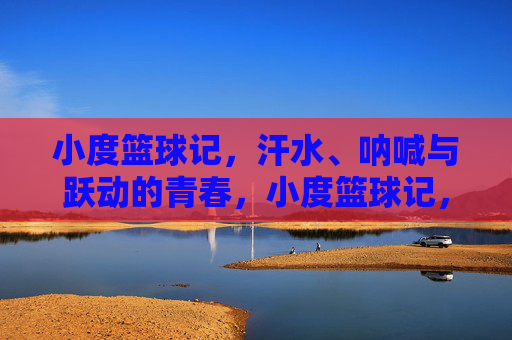 小度篮球记,汗水、呐喊与跃动的青春,小度篮球记,汗水、呐喊与跃动的青春