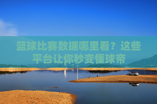 篮球比赛数据哪里看?这些平台让你秒变懂球帝
