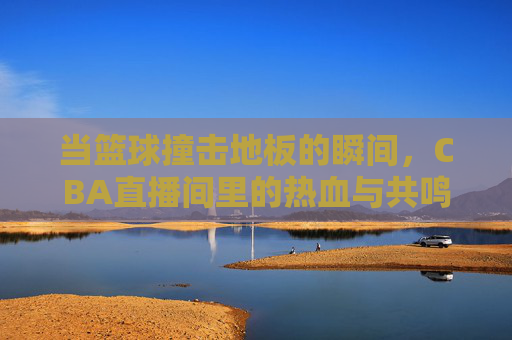 当篮球撞击地板的瞬间，CBA直播间里的热血与共鸣，篮球撞击地板瞬间，CBA直播间的热血共鸣