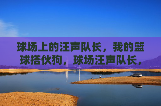 球场上的汪声队长,我的篮球搭伙狗,球场汪声队长,我的篮球搭伙狗