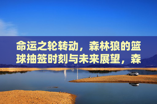 命运之轮转动，森林狼的篮球抽签时刻与未来展望，森林狼抽签时刻，命运转动与未来展望