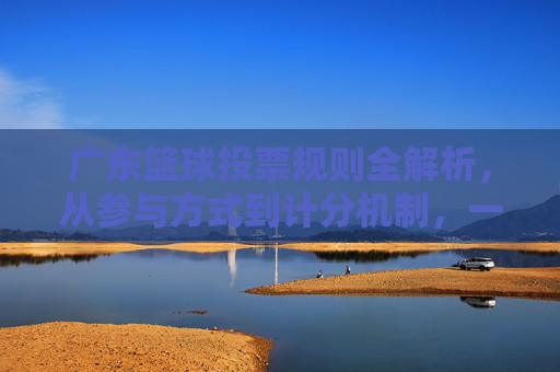 广东篮球投票规则全解析，从参与方式到计分机制，一文读懂，广东篮球投票规则全解析，一文读懂参与方式与计分机制