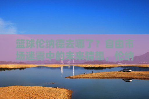 篮球伦纳德去哪了？自由市场迷雾中的未来猜想，伦纳德去哪了？自由市场迷雾中的未来猜想