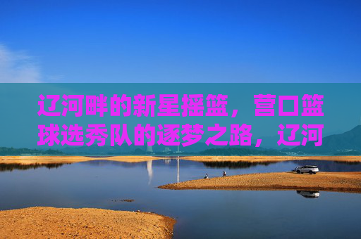 辽河畔的新星摇篮,营口篮球选秀队的逐梦之路,辽河畔新星摇篮,营口篮球选秀队的逐梦路