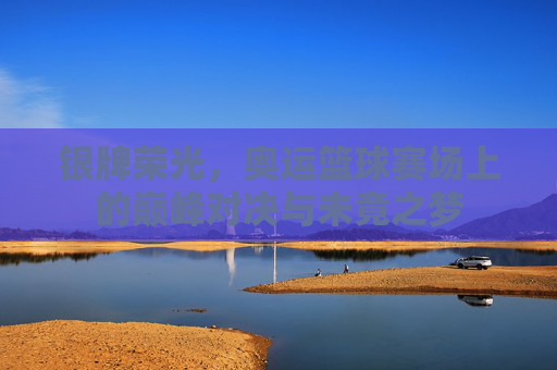 银牌荣光,奥运篮球赛场上的巅峰对决与未竟之梦