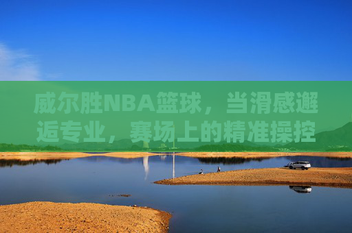 威尔胜NBA篮球，当滑感邂逅专业，赛场上的精准操控艺术，威尔胜NBA篮球，滑感邂逅专业，赛场精准操控艺术