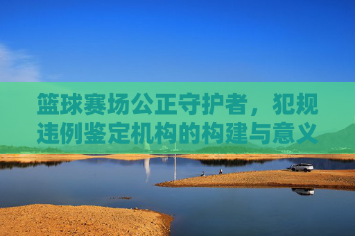 篮球赛场公正守护者,犯规违例鉴定机构的构建与意义,篮球赛场公正守护者,犯规违例鉴定机构的构建与意义