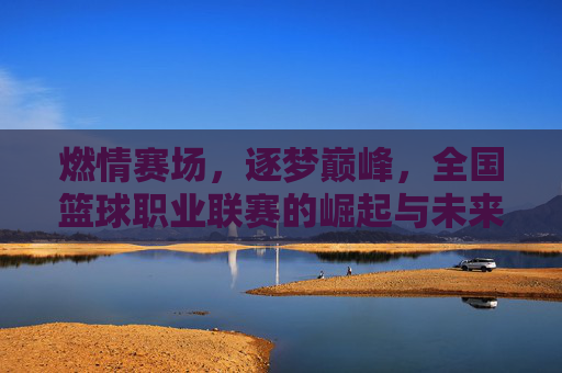燃情赛场,逐梦巅峰,全国篮球职业联赛的崛起与未来,燃情赛场逐梦巅峰,全国篮球职业联赛的崛起与未来