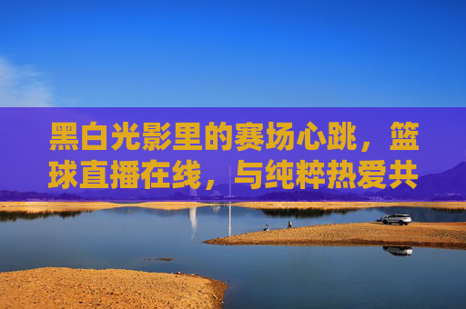 黑白光影里的赛场心跳，篮球直播在线，与纯粹热爱共振，黑白光影赛场心跳，篮球直播在线共振纯粹热爱
