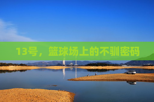 13号,篮球场上的不驯密码