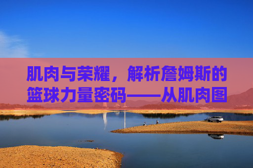 肌肉与荣耀,解析詹姆斯的篮球力量密码——从肌肉图看皇帝的统治力,肌肉与荣耀,解码詹姆斯的统治力密码