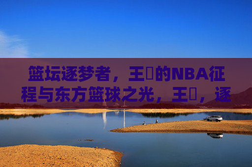 篮坛逐梦者,王豰的NBA征程与东方篮球之光,王豰,逐梦NBA的东方篮球之光