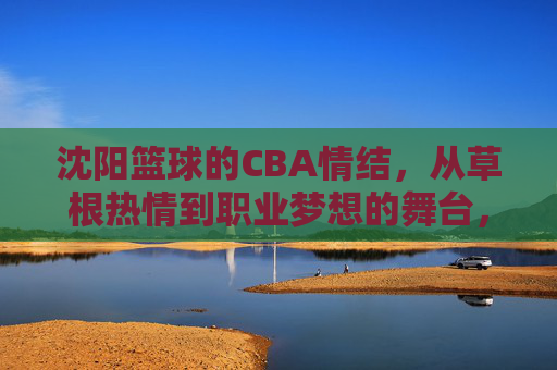 沈阳篮球的CBA情结,从草根热情到职业梦想的舞台,沈阳篮球,草根热情铸就CBA职业梦想