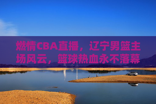 燃情CBA直播,辽宁男篮主场风云,篮球热血永不落幕,辽宁男篮主场燃情,CBA直播热血永燃