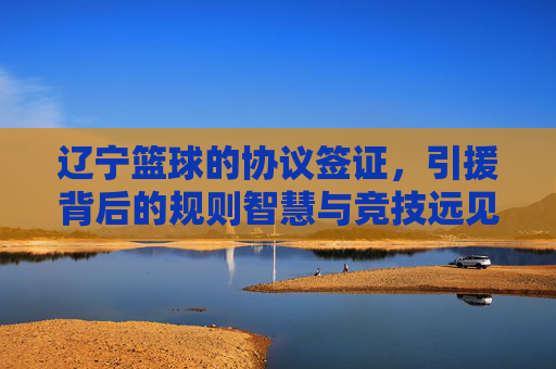 辽宁篮球的协议签证,引援背后的规则智慧与竞技远见,辽宁篮球协议签证引援,规则智慧与竞技远见