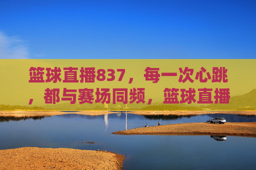 篮球直播837，每一次心跳，都与赛场同频，篮球直播837，心跳与赛场同频