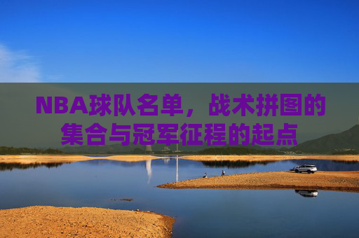 NBA球队名单,战术拼图的集合与冠军征程的起点