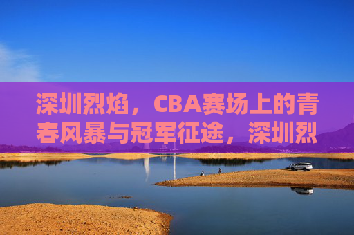 深圳烈焰,CBA赛场上的青春风暴与冠军征途,深圳烈焰,CBA青春风暴与冠军征途