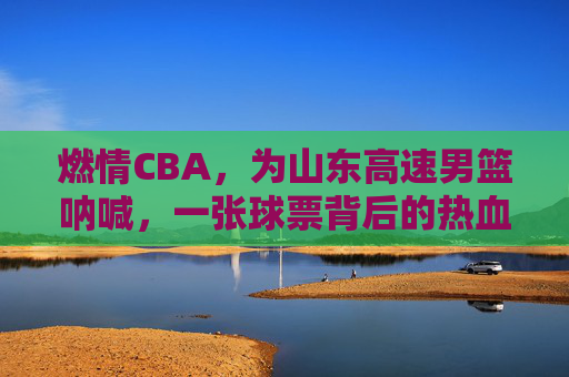 燃情CBA,为山东高速男篮呐喊,一张球票背后的热血与期待,燃情CBA,山东高速男篮,一张球票的热血与期待